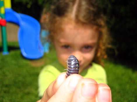 child showing off roly poly